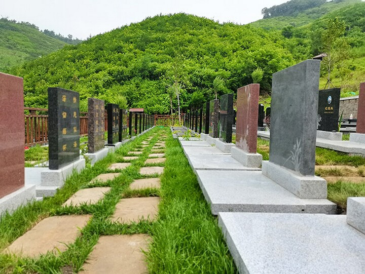 ������Ĺ԰����