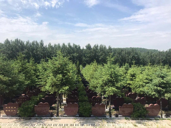 ������Ĺ԰����