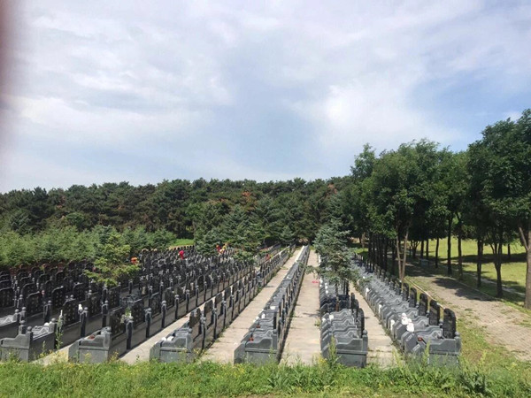 ������Ĺ԰����