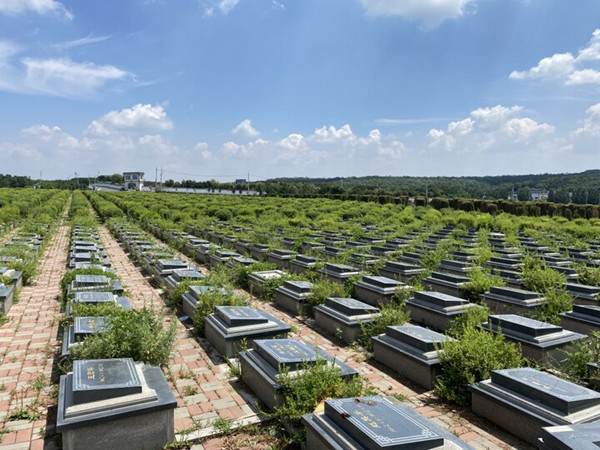 ������Ĺ԰����